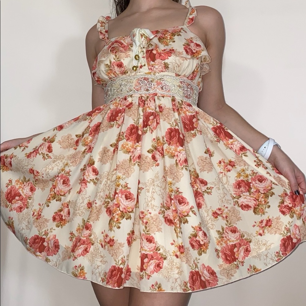 RARE Liz Lisa Rose Dress